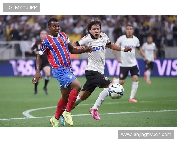 龙八体育官网中如何提高胜率，职业玩家的秘诀分享